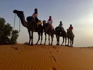 camel ride from the village of merzouga two the camp