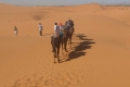 camel trekking dunes erg chebbi