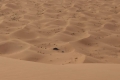 erg chebbi merzouga morocco