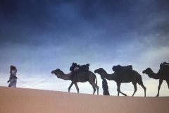camel ride Morocco desert tour