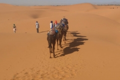 camel trekking dunes erg chebbi